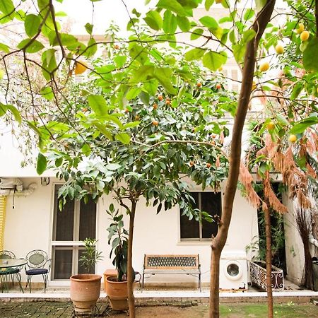 Quiet And Central Flat With Private Backyard Garden Athens Ngoại thất bức ảnh