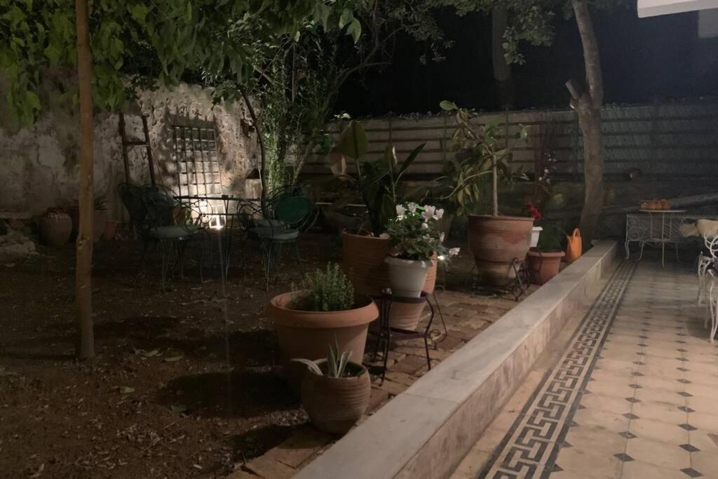 Quiet And Central Flat With Private Backyard Garden Athens Ngoại thất bức ảnh