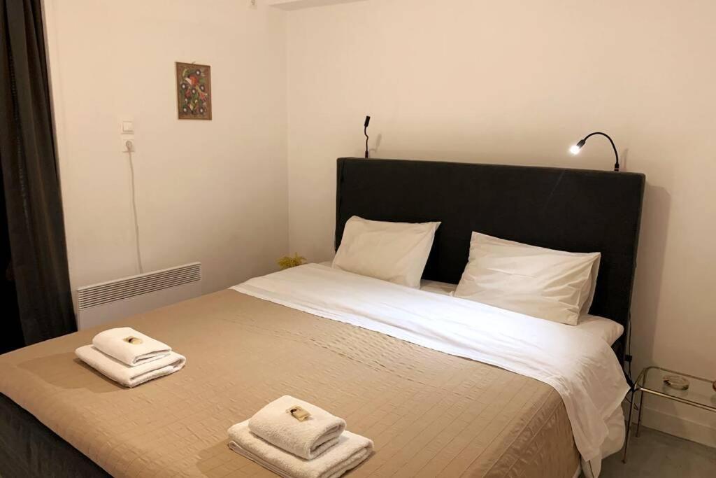 Quiet And Central Flat With Private Backyard Garden Athens Ngoại thất bức ảnh